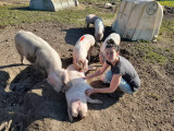 welcome to the farm, la puilliere farm, educational farm, children activities, family, port saint pere