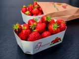 La Fraiseraie, glaces la fraiseraie, fraises Pornic, La Fraiseraie Pornic, marché fraises pornic