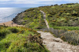 La lande d'ajoncs et sa côte sauvage