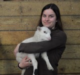 Heïdi, ferme pedagogique, animaux, Saint-père-en-retz, visite