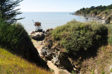 strand crève coeur bucht la bernerie