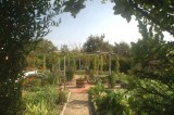 the Jardin du Plessis and its hortus (vegetable garden)