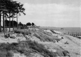 Le manoir de l'Hermitage, ermitage des dunes, hermitage, batisse, rené millet, histoire, belle villa, demeure, bois millet, les moutiers en retz