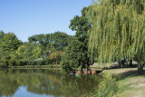 parc de loisirs chauvé, parc de loisirs pornic, parc de loisirs destination pornic, étang chauvé, aire de jeux chauvé