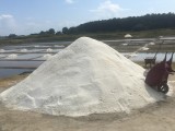 Le Petit Train des Marais Salants, guérande, sel, brière