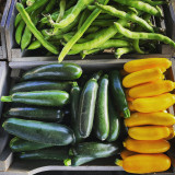 Le Potager d'Hector à La Plaine sur Mer