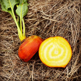 Le Potager d'Hector à La Plaine sur Mer