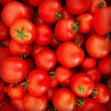 Le Potager d'Hector à La Plaine sur Mer