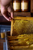 Der Bienenstock von La Fontaine au miel  Bauernhof von Brissets  Destination Pornic