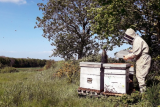 The Fontaine au miel apiary Miellerie Miel du Pays de Retz Pornic