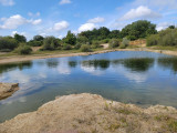 carrières des grandes perrières carrières d'arthon site naturel chaumes idée balade chaumes en retz espace naturel point d'eau balade randonnée  arthon en retz chaumes en retz chéméré destination pornic