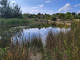 steinbruch, steinbrüche von arthon, naturstandort chaumes, idee für einen spaziergang chaumes en retz, naturraum, wasserstelle, spaziergang, wanderung, rthon en retz, chaumes en re