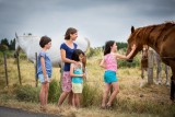 Les chevaux du Marais