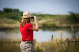 ornithologie les moutiers en retz	