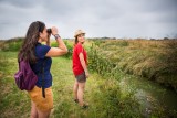 marais de lyarne observatoire des oiseaux moutiers en retz