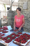 Les Petits Fruits de la Baie	