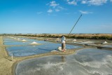 Marais Salant l'epine, Île de Noirmoutier