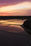 marais salants, Guérande, visite, Terre de Sel, sel, 