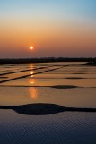 marais salants, Guérande, visite, Terre de Sel, sel,