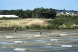 Marais Salants Guérande