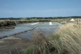 marais salants, Guérande, visite, Terre de Sel, sel,