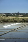 marais salants, Guérande, visite, Terre de Sel, sel,