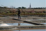 Sea salt pornic producer