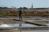 Mélanie Daspremont, saline de l'Ileau