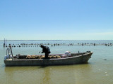 bouchot mussels mussel farmer seafood la plaine sur mer