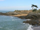 criques pornic baignade