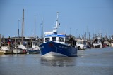 L'Amiral des Côtes, bateau de peche, pêche en mer, pecheur, port, poissons,