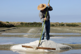 Paludier dans les marais salants