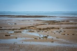 Pêche à pied à la Boutinardière