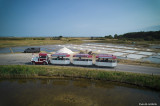 petit train, train touristique, guerande, marais salants, visite, enfants, famille, sortie, la baule, paludier