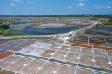 Petit Train Touristique des Marais Salants Guérande Saint-Nazaire