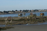 Plage anjou Saint Michel Tharon
