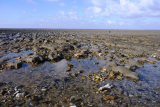 Plage de Lyarne Pecherie Les Moutiers en Retz