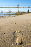 Plage de Lyarne Sable fin Les moutiers