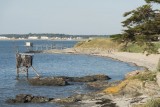 Plage de mouton