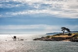 Pornic, Sainte Marie sur Mer, Beach, Plage du Portmain, Plage de Pornic, Coast, Destination Pornic, Pornic coast