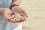 Plage du Dr Dinet Plage sauvage Coquilage Les Moutiers