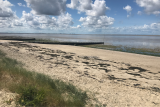 Plage du Dr Dinet Les Moutiers en Retz