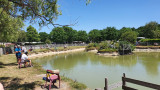 Camping étang Bourgneuf Villeneuve en Retz Camping Bourgneuf pornic et noirmoutier camping destination pornic piscine chauffée mini-ferme