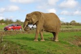 circuit du safari et du tenu, planete sauvage, riviere, randonnée, circuit pédestre, port saint père, port-saint-pere, animaux sauvages