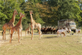 Planète sauvage Wildlife park Nantes Zoo Pornic