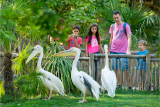 Planète sauvage Parc animalier Zoo Nantes Pornic