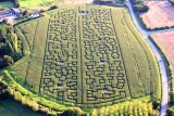 POP CORN LABYRINTHE