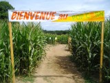 POP CORN LABYRINTHE