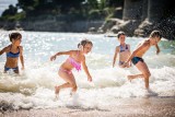 beach pornic creek sand bar terrace beach volleyball swimming young people