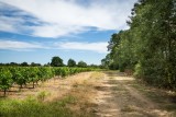 Destiantion pornic, pornic, campagne, randonnée, promenade, hauts près, la bernerie